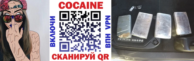 COCAIN Fish Scale  Купить закладки  Карталы 