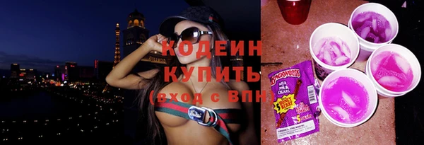 МДПВ Елизово