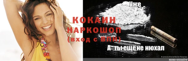 шишки Елабуга