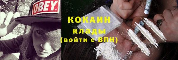 МДПВ Елизово