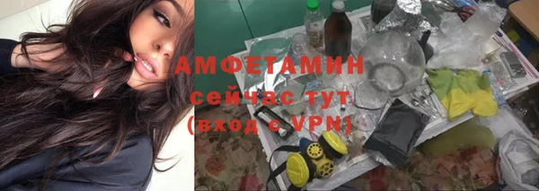 шишки Елабуга