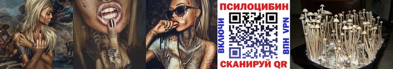 Купить  Карталы  Галлюциногенные грибы ЛСД 